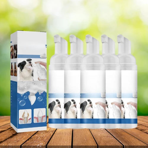 Pawlisse FR